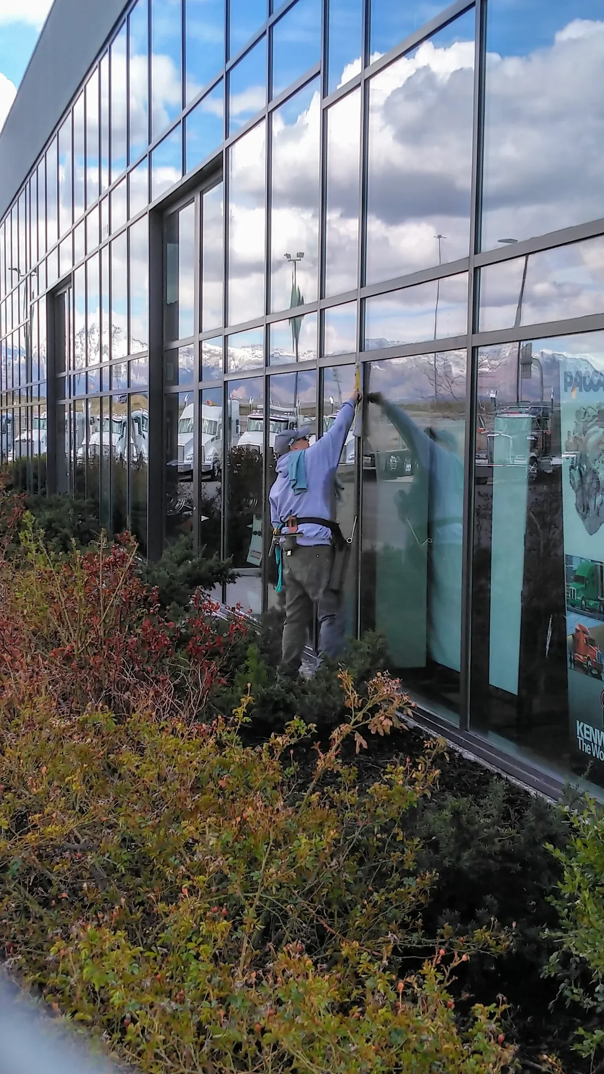 Commercial window cleaning project