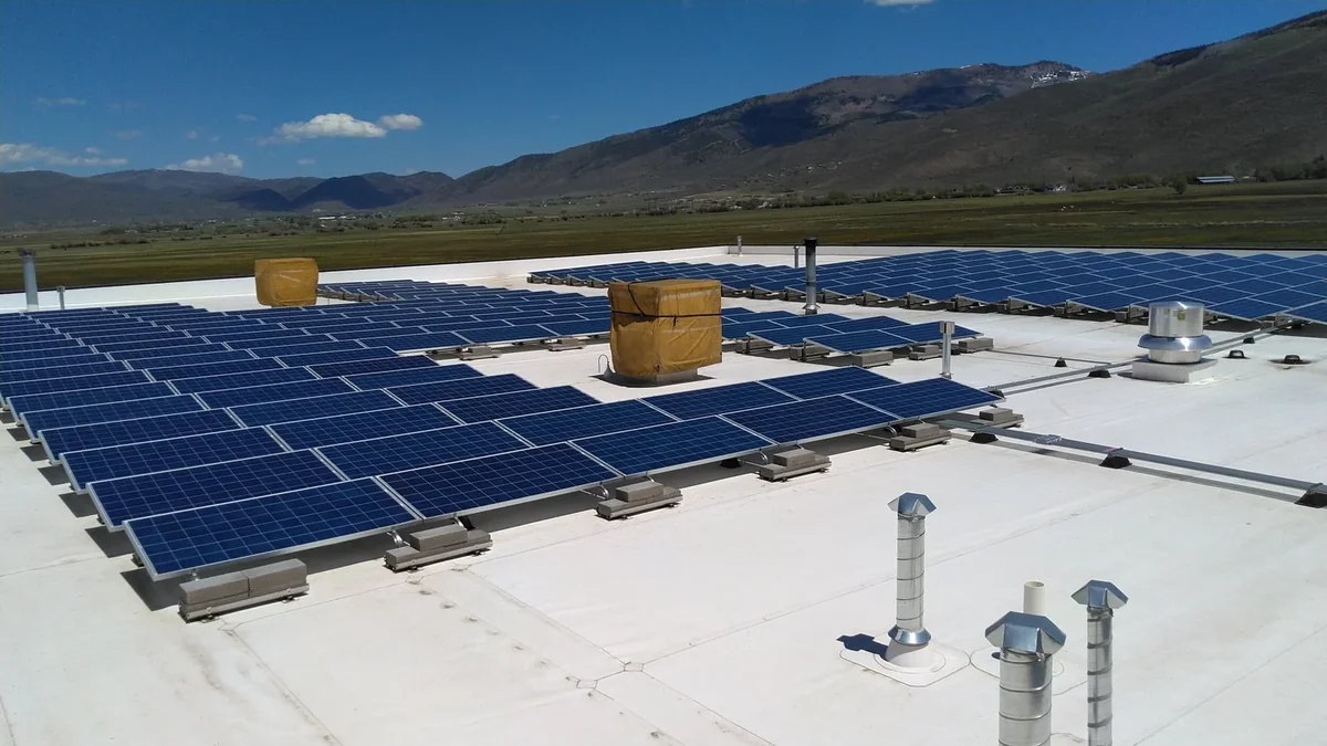 Cleaned solar panels